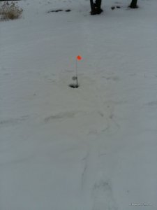 20170211_064753.jpg