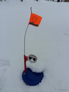 20170211_115242.jpg