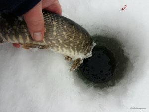 20170211_112246.jpg