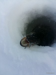 20170211_140011.jpg