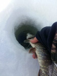 20170211_140049.jpg