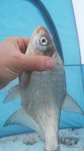 20170211_073702.jpg