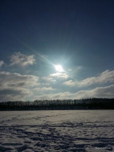 2017-02-11 20.28.00.jpg