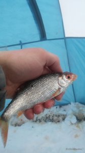 20170211_073734.jpg