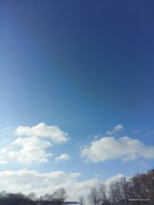 20170211_141442.jpg