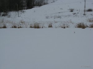 IMG_0046.JPG