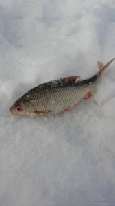 20170211_124304.jpg