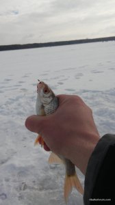 20170211_124637.jpg