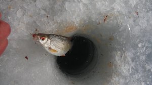 20170211_125337.jpg
