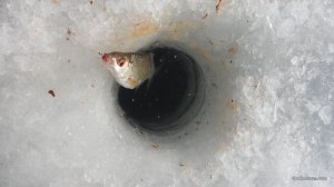 20170211_125346.jpg