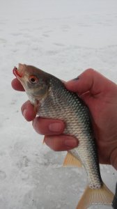20170211_144121.jpg