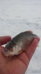 20170211_145712.jpg