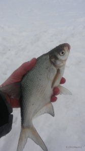 20170211_145638.jpg