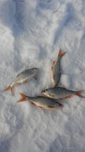 20170211_130311.jpg