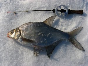 IMG_1813.JPG