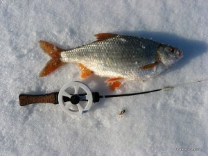 IMG_1814.JPG