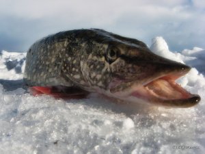 IMG_1820.JPG