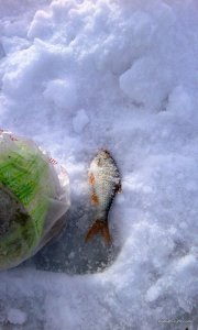 20170212_092815.jpg