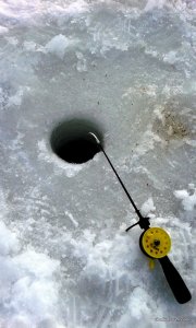 20170212_093626.jpg