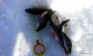 20170212_125150.jpg