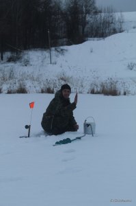 IMG_4456.JPG
