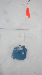IMG_20170212_080932.jpg