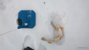 IMG_20170212_083414.jpg