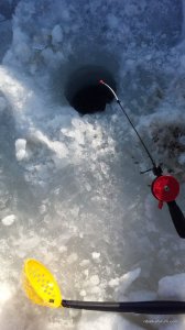IMG_20170212_145811.jpg