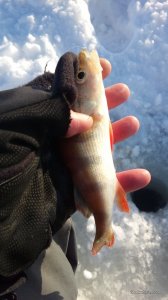 IMG_20170212_150010.jpg
