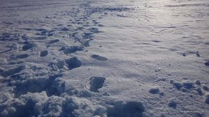 IMG_20170212_150039.jpg