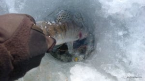 IMG_20170212_151214.jpg