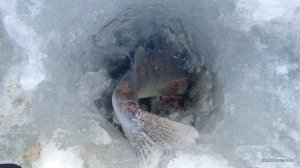 IMG_20170212_151233.jpg