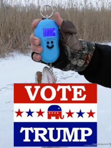 234234234234.png