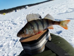 20170122_112806.jpg