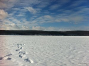 IMG_3087.JPG
