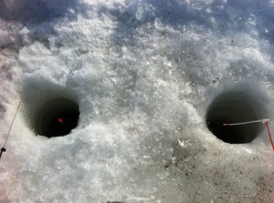 IMG_3086.JPG