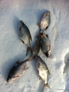 IMG_3089.JPG