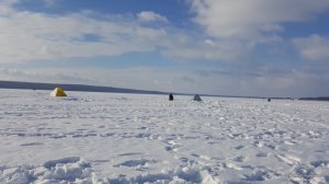 20170212_142632.jpg