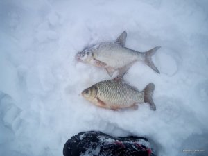 IMG_20170212_144120.jpg