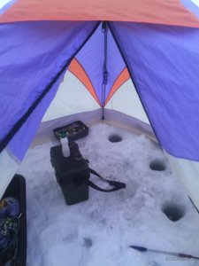 IMG_20170211_070132.jpg