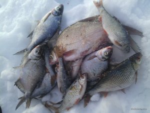 IMG_20170211_161148.jpg