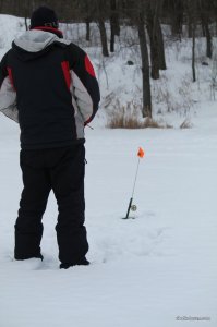 IMG_4591.JPG