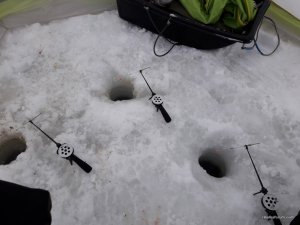 20170215_073645.jpg