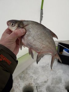20170215_144307.jpg