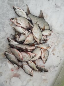 20170215_133353.jpg