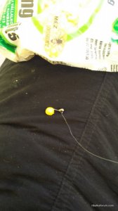 20170131_092551.jpg