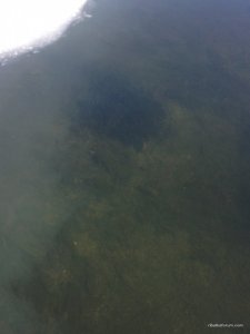 IMG_0751.JPG