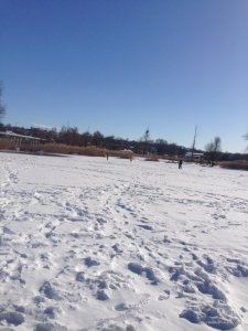 IMG_0752.JPG