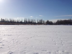 IMG_0753.JPG