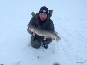 IMG_5528.JPG